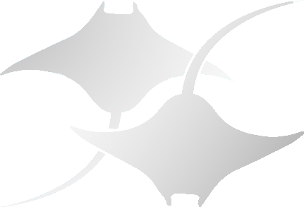 Greyline Logo