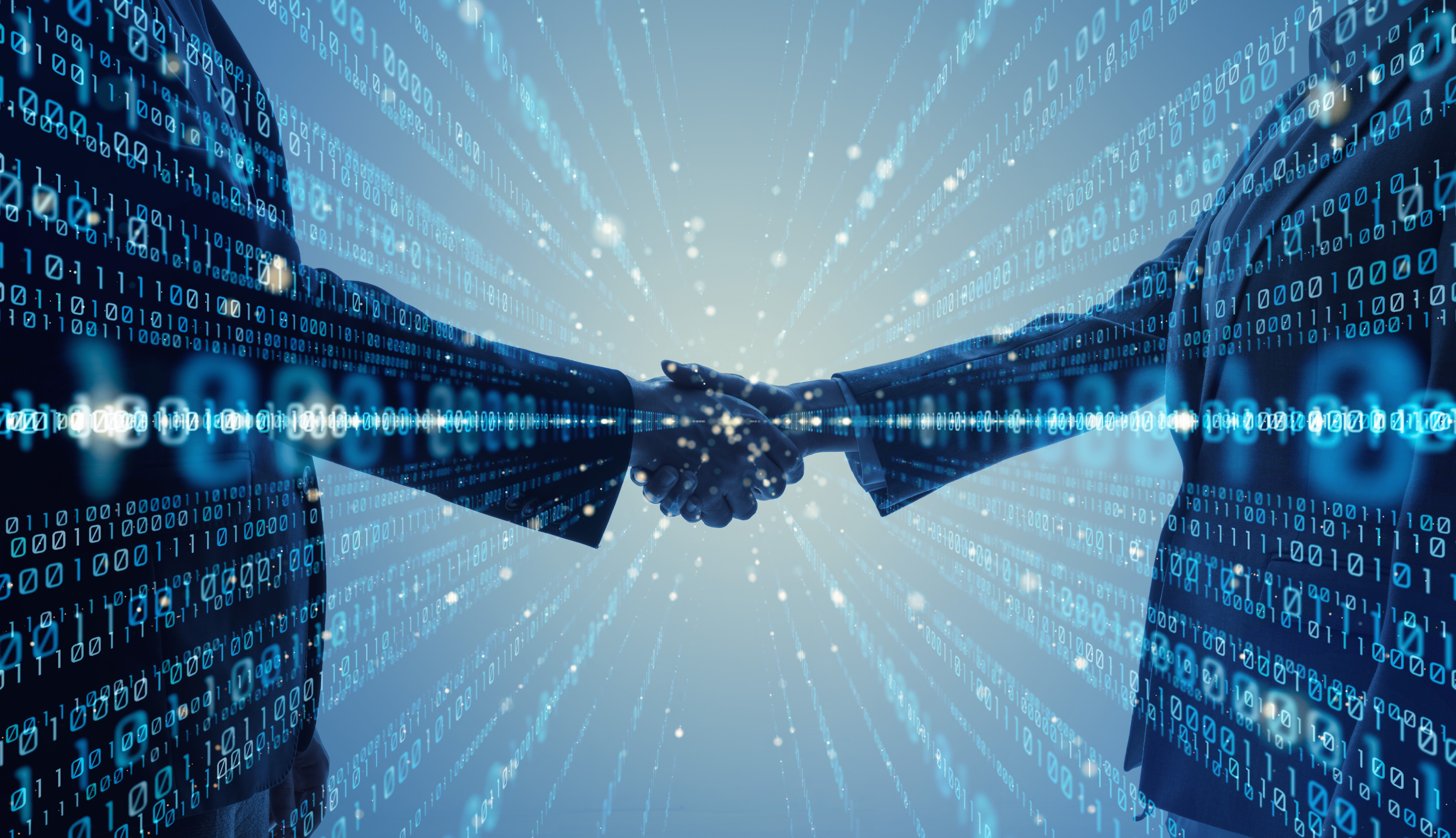Software Partnership